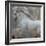 Horse Exposures IV-Susan Friedman-Framed Art Print