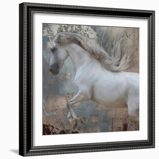 Horse Exposures IV-Susan Friedman-Framed Art Print