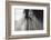 Horse Eye Close-Up-Digidesign-Framed Photographic Print