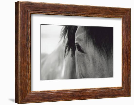 Horse Eye Close-Up-Digidesign-Framed Photographic Print