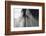 Horse Eye Close-Up-Digidesign-Framed Photographic Print