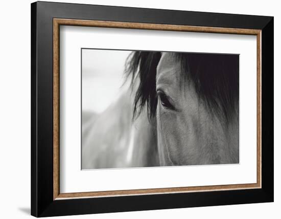 Horse Eye Close-Up-Digidesign-Framed Photographic Print