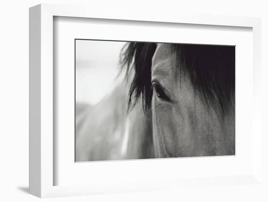 Horse Eye Close-Up-Digidesign-Framed Photographic Print