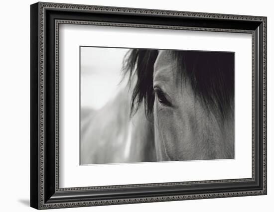 Horse Eye Close-Up-Digidesign-Framed Photographic Print