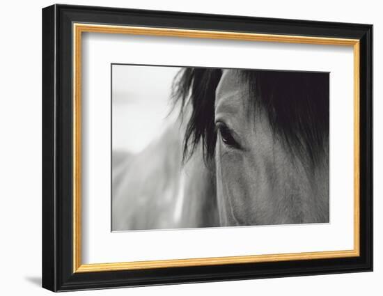 Horse Eye Close-Up-Digidesign-Framed Photographic Print