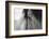 Horse Eye Close-Up-Digidesign-Framed Photographic Print