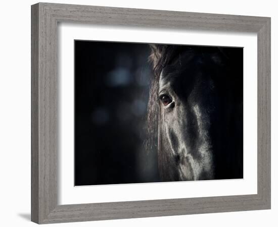 Horse Eye In Dark-mari_art-Framed Art Print