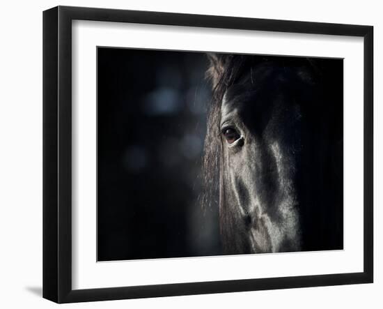 Horse Eye In Dark-mari_art-Framed Art Print