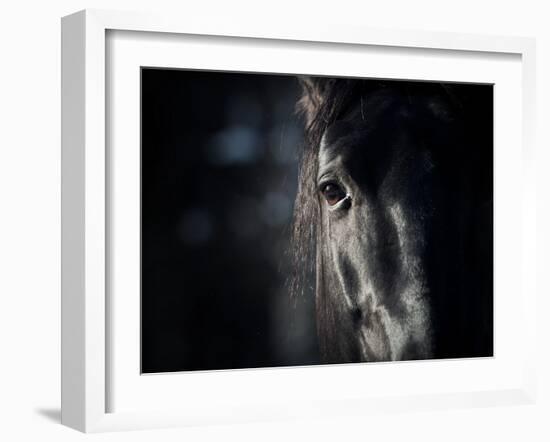 Horse Eye In Dark-mari_art-Framed Art Print