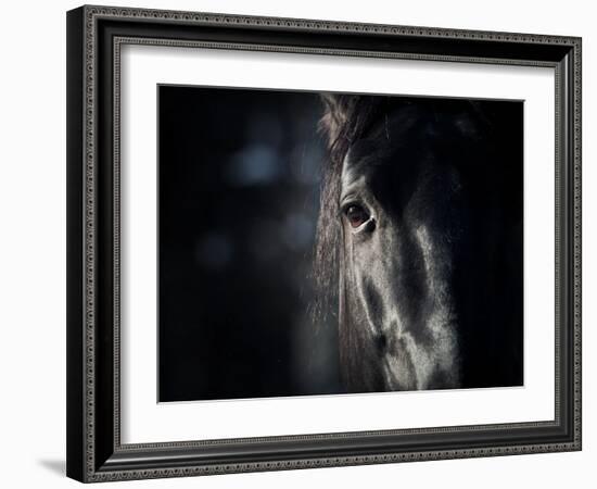 Horse Eye In Dark-mari_art-Framed Art Print