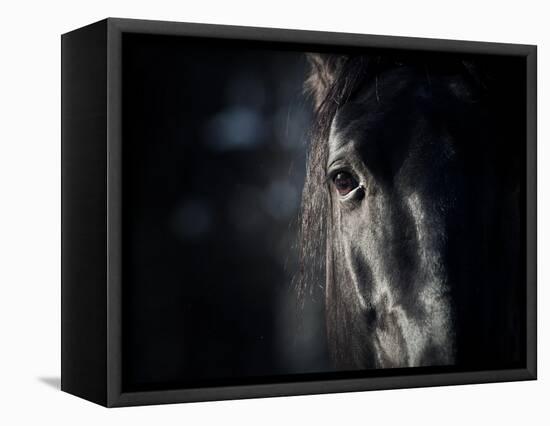 Horse Eye In Dark-mari_art-Framed Stretched Canvas