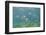 Horse-Eye Jack, Hol Chan Marine Reserve, Belize-Pete Oxford-Framed Photographic Print