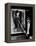 Horse Feathers, 1932-null-Framed Premier Image Canvas