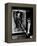 Horse Feathers, 1932-null-Framed Premier Image Canvas