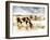 Horse Feeding off Dry Brush Growing out of Sand-Jan Lakey-Framed Photographic Print