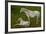 Horse Foal-Charles Bowman-Framed Photographic Print