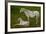 Horse Foal-Charles Bowman-Framed Photographic Print