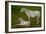 Horse Foal-Charles Bowman-Framed Photographic Print