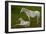 Horse Foal-Charles Bowman-Framed Photographic Print