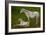 Horse Foal-Charles Bowman-Framed Photographic Print