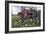 Horse Fox Hunt I-Timothy Blossom-Framed Art Print