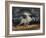 Horse Frightened by Lightning-Eugene Delacroix-Framed Giclee Print