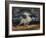 Horse Frightened by Lightning-Eugene Delacroix-Framed Giclee Print