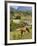 Horse Grazing on a Hillside in the Valle De Vinales, Pinar Del Rio Province, Cuba-Martin Child-Framed Photographic Print