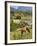 Horse Grazing on a Hillside in the Valle De Vinales, Pinar Del Rio Province, Cuba-Martin Child-Framed Photographic Print