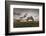 Horse grazing on the shores of Hovsgol Lake at sunset, Hovsgol province, Mongolia, Central Asia, As-Francesco Vaninetti-Framed Photographic Print