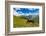 Horse grazing with Khaldechala River Valley and Caucasian mountains in background-Jan Miracky-Framed Photographic Print