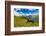 Horse grazing with Khaldechala River Valley and Caucasian mountains in background-Jan Miracky-Framed Photographic Print