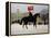 Horse Guards Parade-Vincent Haddelsey-Framed Premier Image Canvas