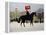 Horse Guards Parade-Vincent Haddelsey-Framed Premier Image Canvas