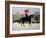 Horse Guards Parade-Vincent Haddelsey-Framed Giclee Print