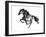 Horse H1-Chris Paschke-Framed Premium Giclee Print