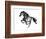 Horse H1-Chris Paschke-Framed Giclee Print