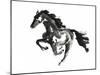 Horse H1-Chris Paschke-Mounted Giclee Print