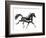 Horse H4-Chris Paschke-Framed Giclee Print