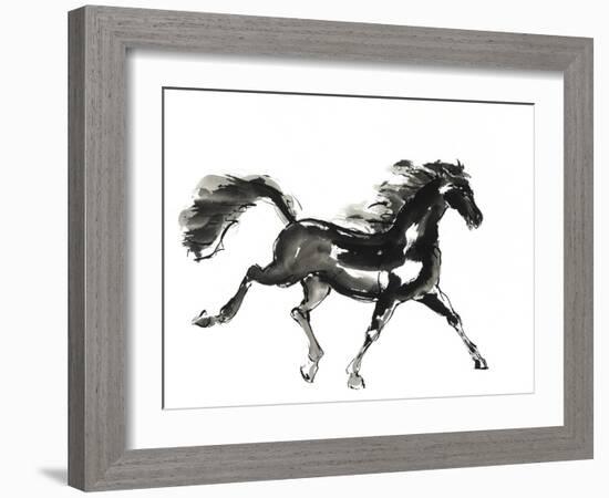 Horse H4-Chris Paschke-Framed Giclee Print