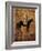 Horse & Hare Tavern-Jason Giacopelli-Framed Art Print