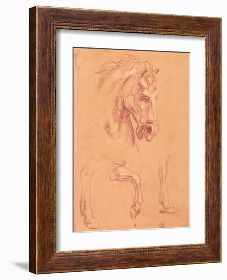 Horse Head-Pier Leone Ghezzi-Framed Art Print