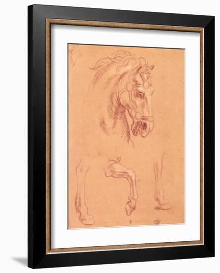Horse Head-Pier Leone Ghezzi-Framed Art Print