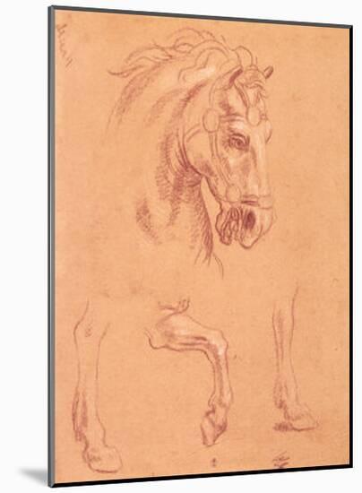 Horse Head-Pier Leone Ghezzi-Mounted Art Print
