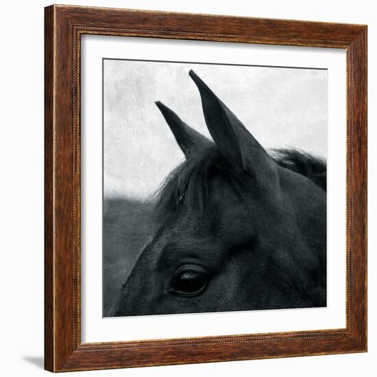 Horse Head-Pete Kelly-Framed Giclee Print