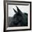 Horse Head-Pete Kelly-Framed Giclee Print