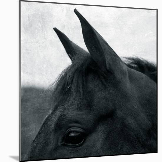 Horse Head-Pete Kelly-Mounted Giclee Print