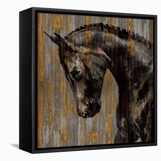 Horse I-Martin Rose-Framed Stretched Canvas