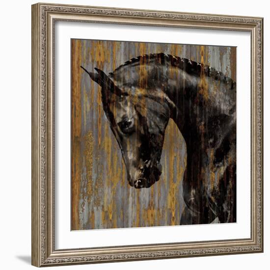 Horse I-Martin Rose-Framed Art Print