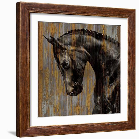 Horse I-Martin Rose-Framed Art Print